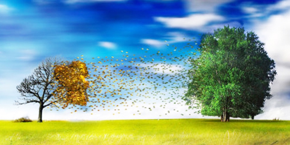 graphic-design-960×480